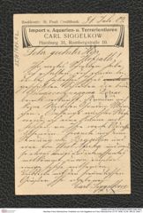 Nachlass Franz Steindachner, Postkarte von Carl Siggelkow an Franz Steindachner (31.07.1909), Inv.Nr. 480.02, Seite 1